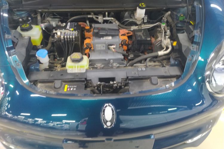 欧拉好猫 2023款 401km标准续航 豪华型 磷酸铁锂局部细节24