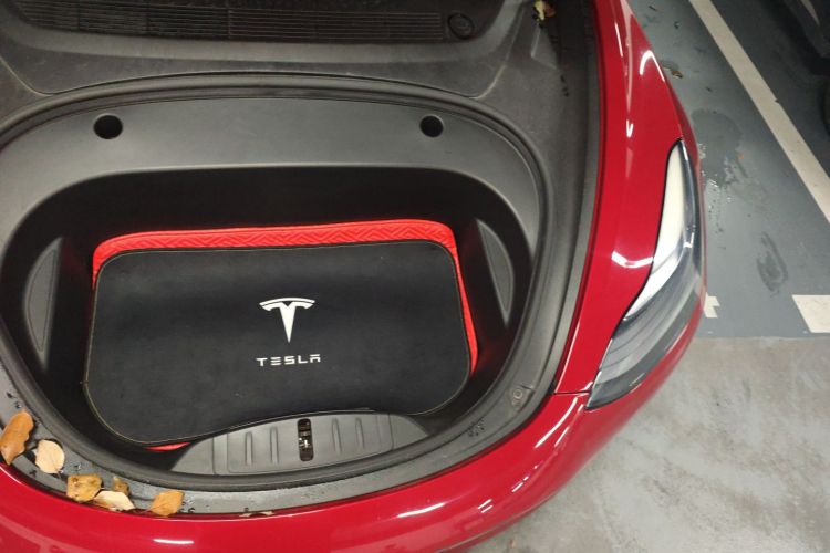 特斯拉 Model 3 2021款 改款 标准续航后驱升级版 3D1局部细节9007