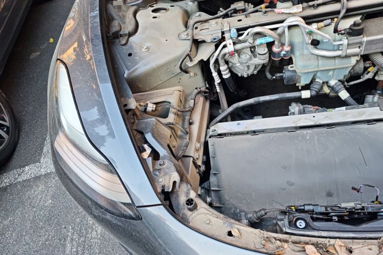 特斯拉 Model 3 2020款 标准续航后驱升级版局部细节9006