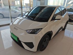 比亚迪 海鸥 2025款 智驾版 305km 活力版