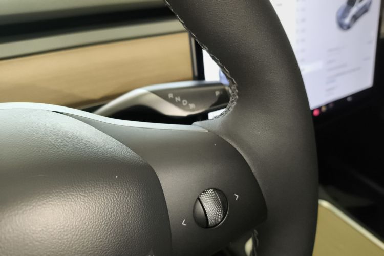 特斯拉 Model Y 2021款 标准续航后驱版局部细节18