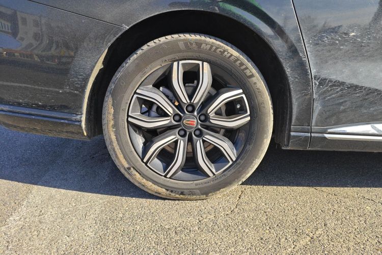 红旗HQ9 2023款 2.0T 智联旗享版车身外观6008