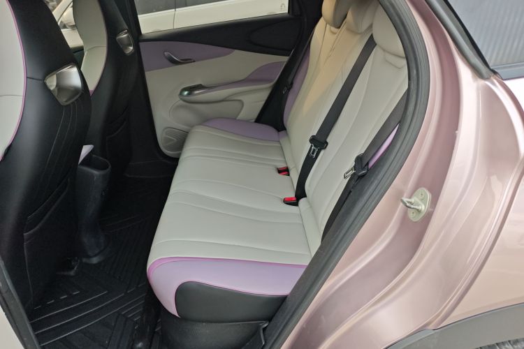 比亚迪 海豚 2021款 401km 骑士版中控内饰7004