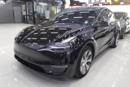 特斯拉 Model Y 2021款 长续航全轮驱动版