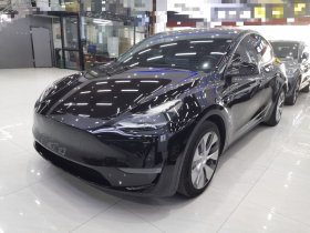 特斯拉 Model Y 2021款 长续航全轮驱动版