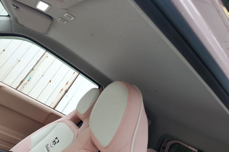 吉利银河 2023款 熊猫mini 200km 耐力熊中控内饰22