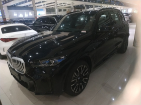 宝马X5 2025款 xDrive 40Li M运动曜夜套装