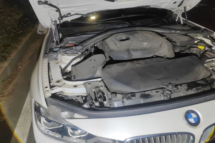 宝马3系 2018款 320Li 时尚型局部细节9006