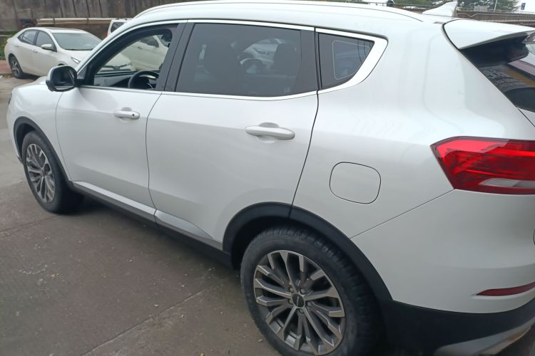 哈弗H6 2020款 1.5GDIT 自动铂金冠军版车身外观6003