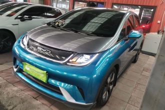 比亚迪 海豚 2021款 401km 骑士版