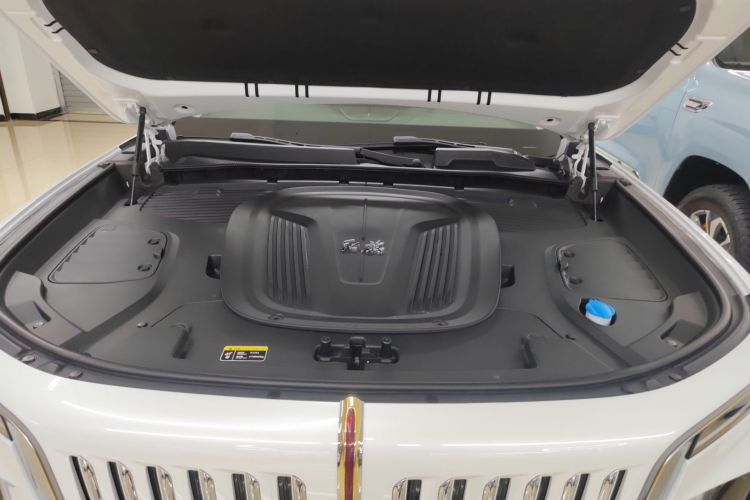 红旗E-HS9 2022款 660km 旗畅版 六座机舱底盘24