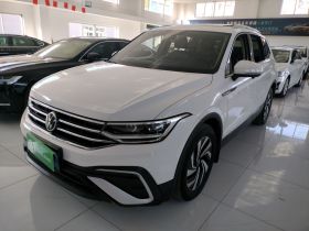 大众 途观L 2022款 330TSI 自动两驱智享版