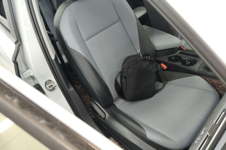 大众 朗逸 2024款 1.5L 自动星空五百万版局部细节41