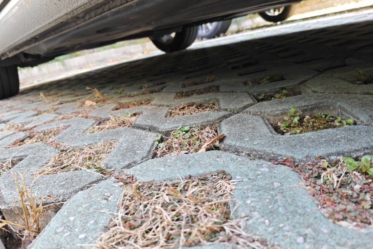 大众 高尔夫 2017款 230TSI 自动舒适百万辆纪念版局部细节9001