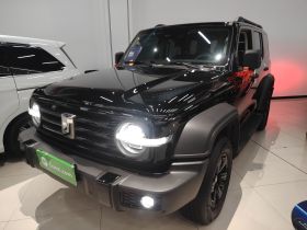 坦克300 2024款 2.0T 挑战者