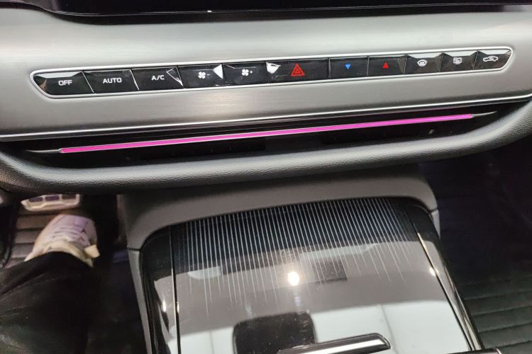 红旗H9 2024款 2.0T 旗享 私享风尚版局部细节16