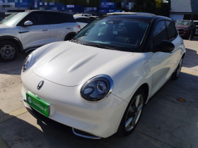 欧拉好猫 2021款 400km标准续航 维纳斯版 磷酸铁锂