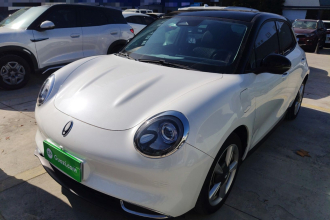 欧拉好猫 2021款 400km标准续航 维纳斯版 磷酸铁锂