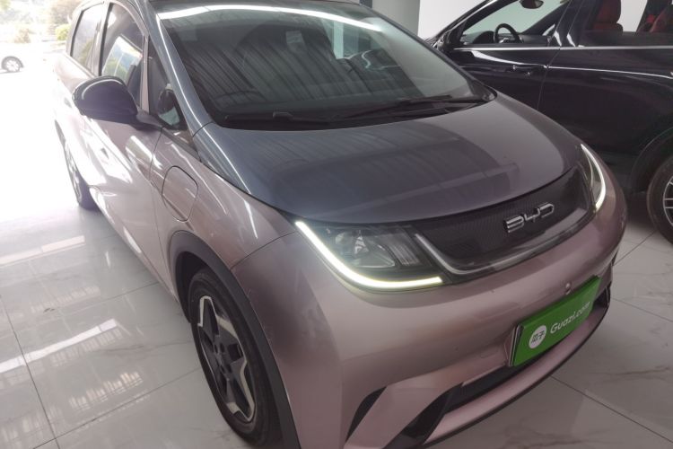 比亚迪 海豚 2021款 405km 时尚版车身外观6002