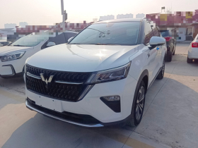 五菱汽车 五菱星辰 2022款 2.0L DHT电速款