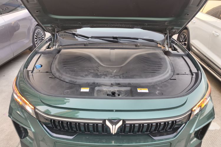 岚图汽车 岚图FREE 2025款 318 318km 后驱环游版局部细节24