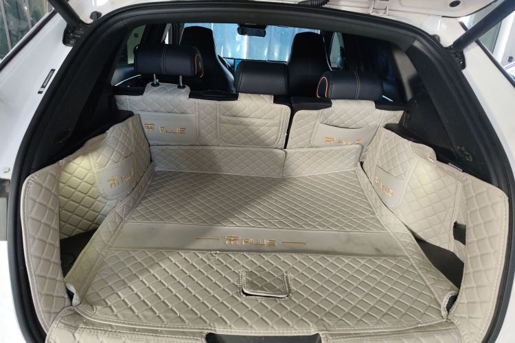 比亚迪 宋PLUS新能源 2021款 EV 旗舰型机舱底盘23