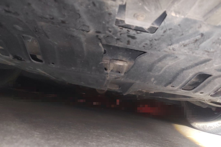 长安 逸动 2020款 PLUS 蓝鲸NE 1.4T GDI DCT旗舰型局部细节9008