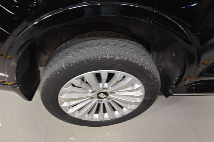 坦克500新能源 2023款 Hi4-T车身外观6008