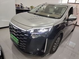 比亚迪 夏 2025款 DM-i 1.5T 180km 卓越型