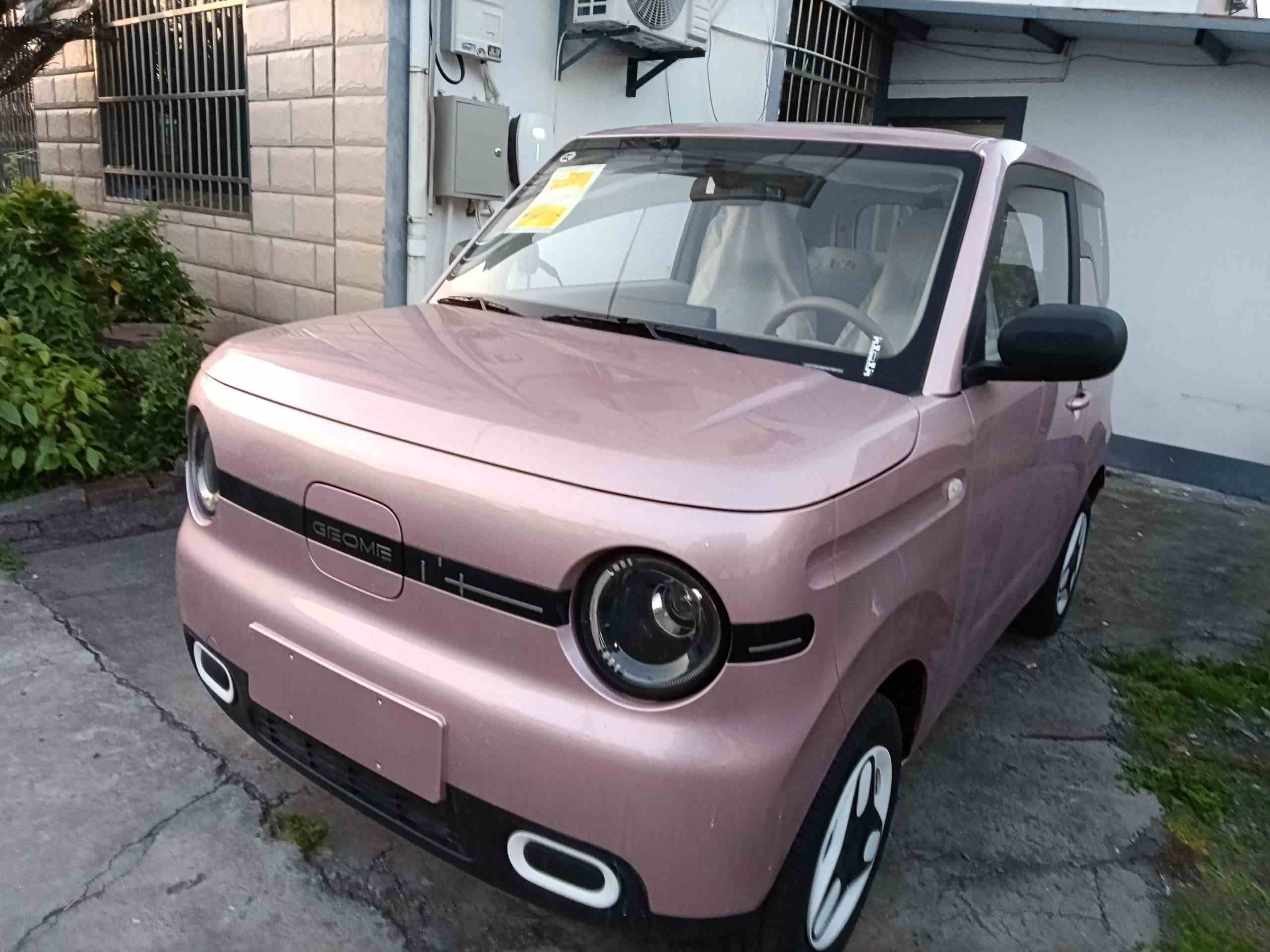 吉利银河 2025款 熊猫mini 210km 元气熊(2)