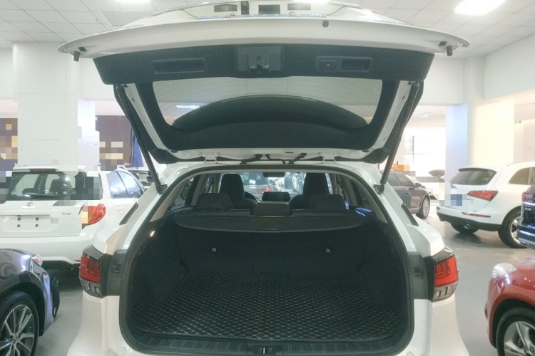 雷克萨斯RX 2020款 300 两驱精英版 国VI局部细节23