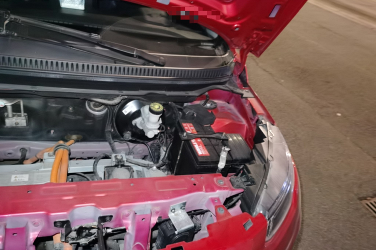 大运 悦虎 2022款 30.66kWh 两驱标准版局部细节9007