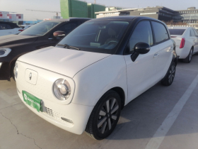 欧拉黑猫 2022款 351km 标准型 三元锂