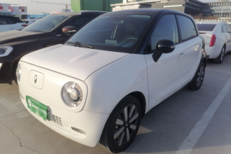 欧拉黑猫 2022款 351km 标准型 三元锂