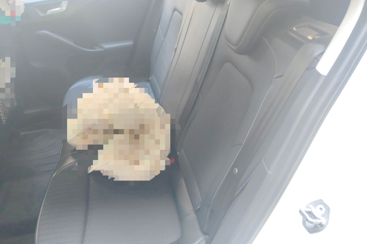 福特 福克斯 2021款 两厢 EcoBoost 180 自动锋潮型中控内饰21