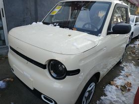 吉利银河 熊猫 2025款 210km 元气熊