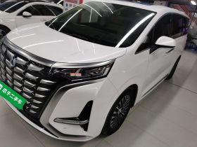 腾势D9 2024款 DM-i 980 四驱旗舰型