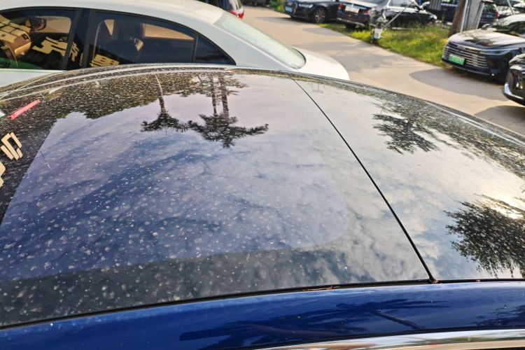 特斯拉 Model 3(进口) 2019款 长续航全轮驱动版局部细节57