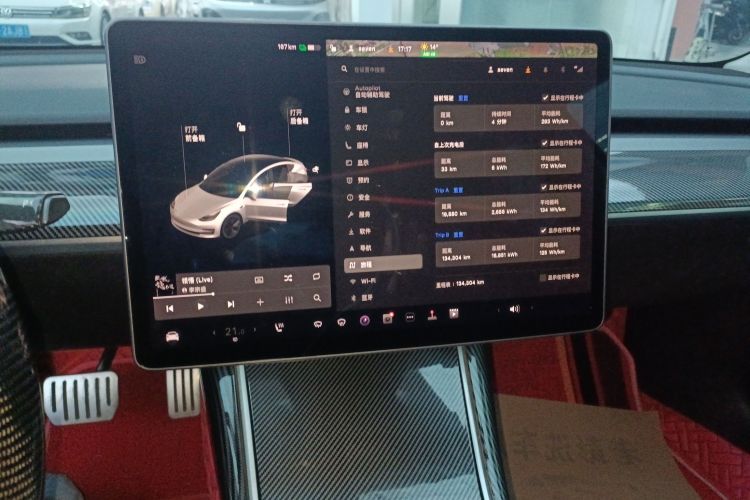 特斯拉 Model 3 2019款 标准续航后驱升级版局部细节16