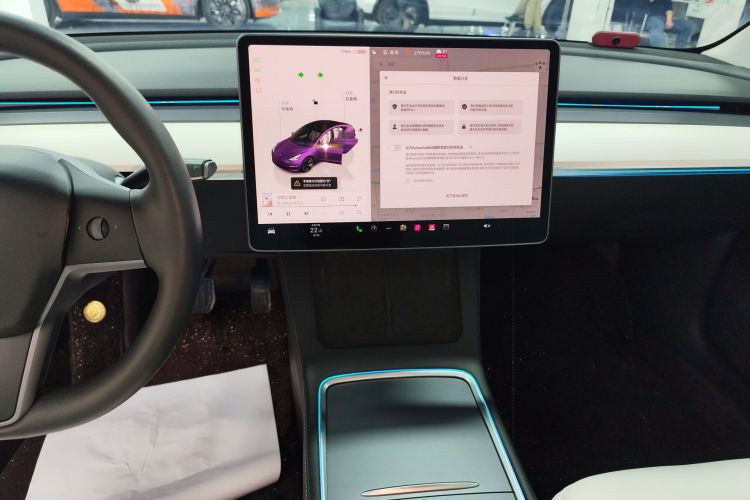 特斯拉 Model 3 2022款 后轮驱动版局部细节16