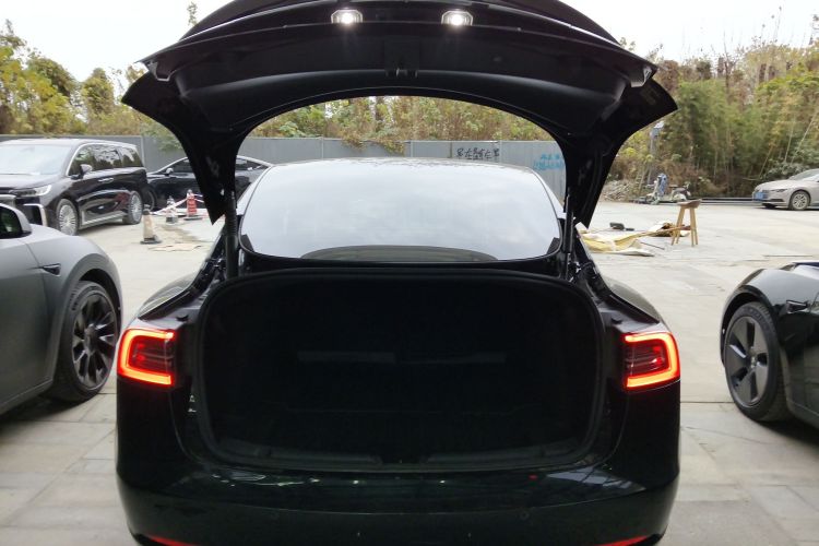 特斯拉 Model 3 2022款 Performance高性能全轮驱动版机舱底盘23