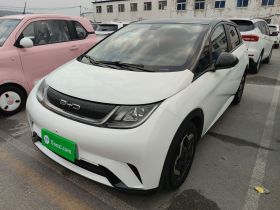 比亚迪 海豚 2021款 405km 时尚版