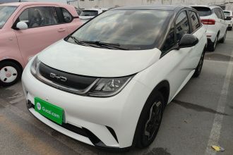 比亚迪 海豚 2021款 405km 时尚版