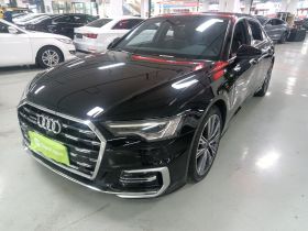 奥迪A6L 2023款 改款 45 TFSI quattro 尊享动感型