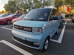 五菱汽车 宏光MINIEV 2020款 自在款 磷酸铁锂