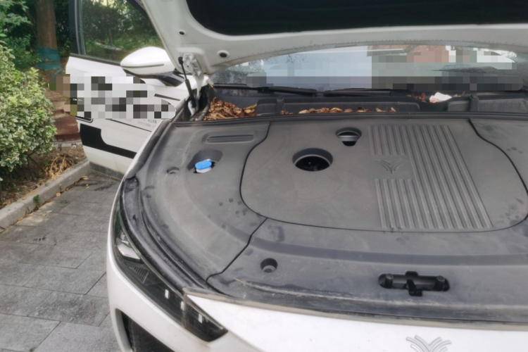 哪吒汽车 哪吒L 2024款 增程 310 闪充红衣版局部细节9006