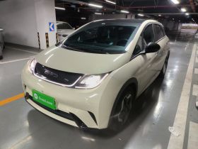 比亚迪 海豚 2021款 405km 时尚版