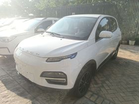 大运 悦虎 2023款 300 标准版