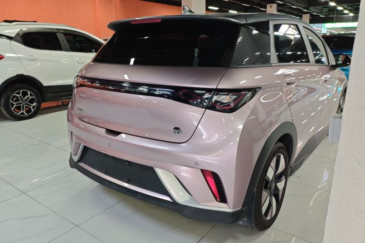 比亚迪 海豚 2021款 401km 骑士版车身外观6005