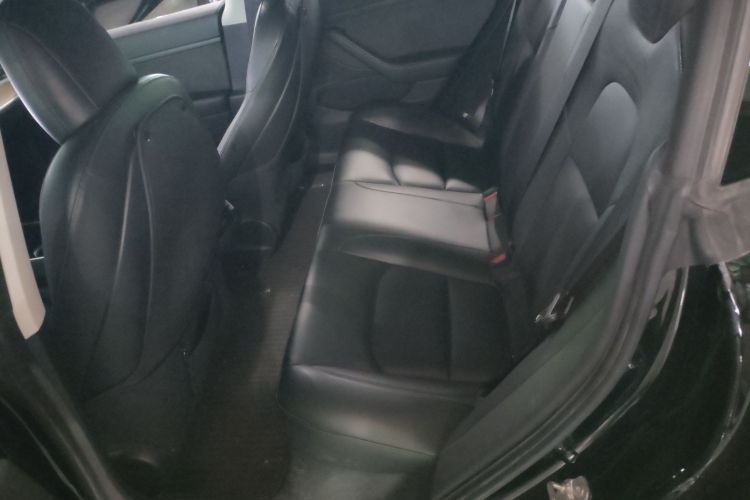 特斯拉 Model 3 2020款 标准续航后驱升级版中控内饰7004
